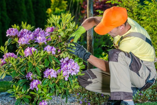 Secure payment options for Tree Surgeons Finsburypark customers