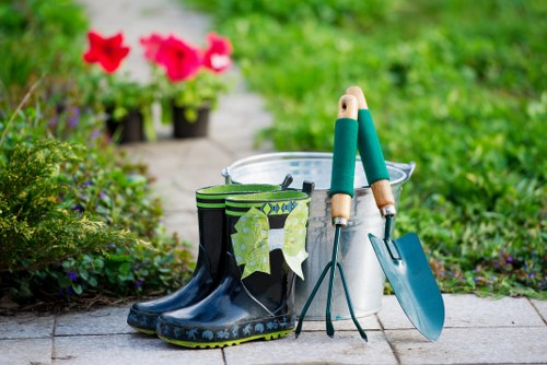 Professional tree felling and site clearance for a local property