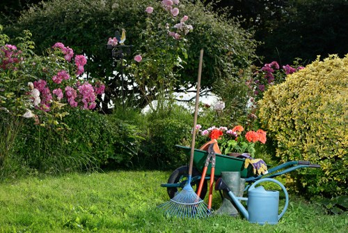 Waste regulations and governing law for tree surgery