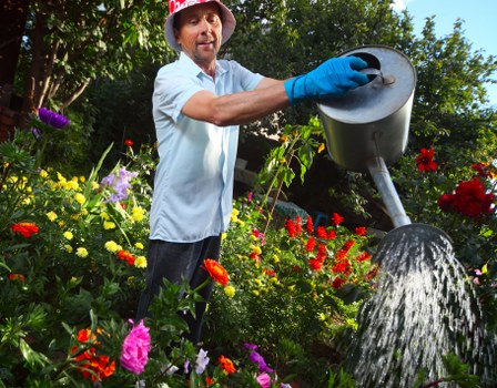 Booking and site access terms for tree surgeons