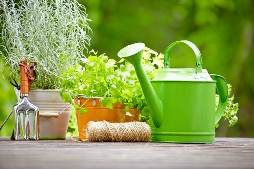 Professional tree care for homes and commercial properties near Finsbury Park