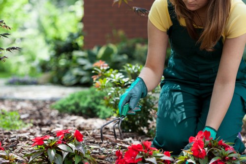 Resolution-focused complaints procedure for tree surgeons