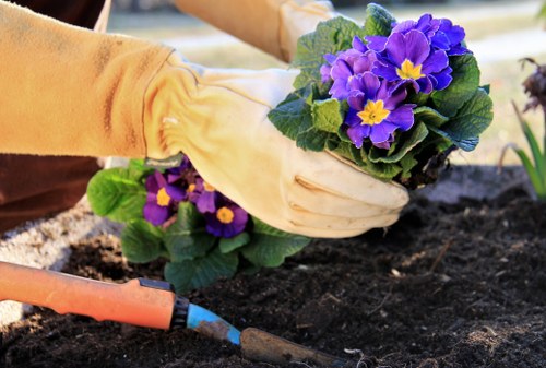 Professional tree care work in a residential garden setting
