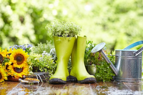 Tree care near terraced houses and narrow access in Finsbury Park