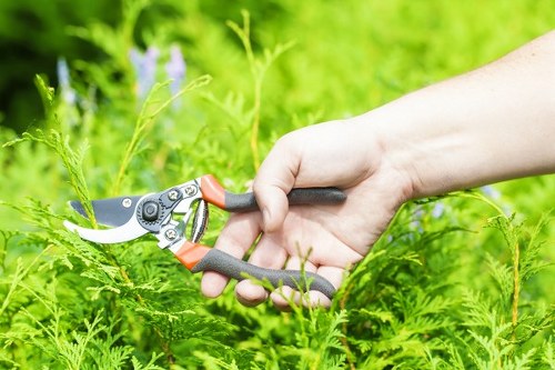 Ethical supply chain review for Tree Surgeons Finsburypark