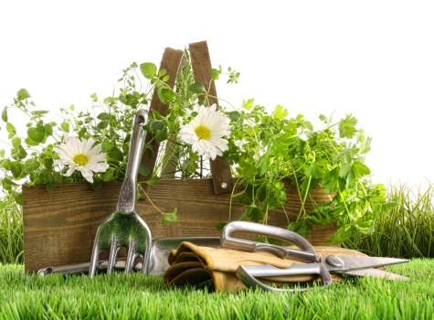 Careful hedge shaping for a home or business in Finsburypark