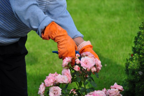 Local tree surgery team planning safe tree maintenance work