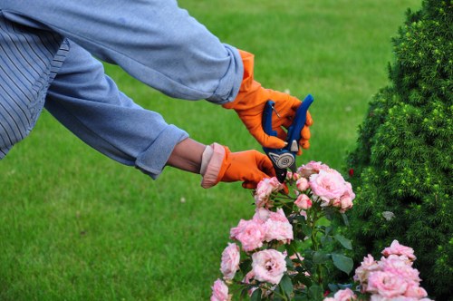 Supplier audit and due diligence for Tree Surgeons Finsburypark